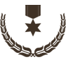 Alternate Text