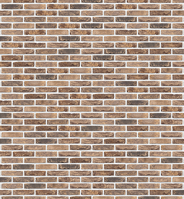 project-img